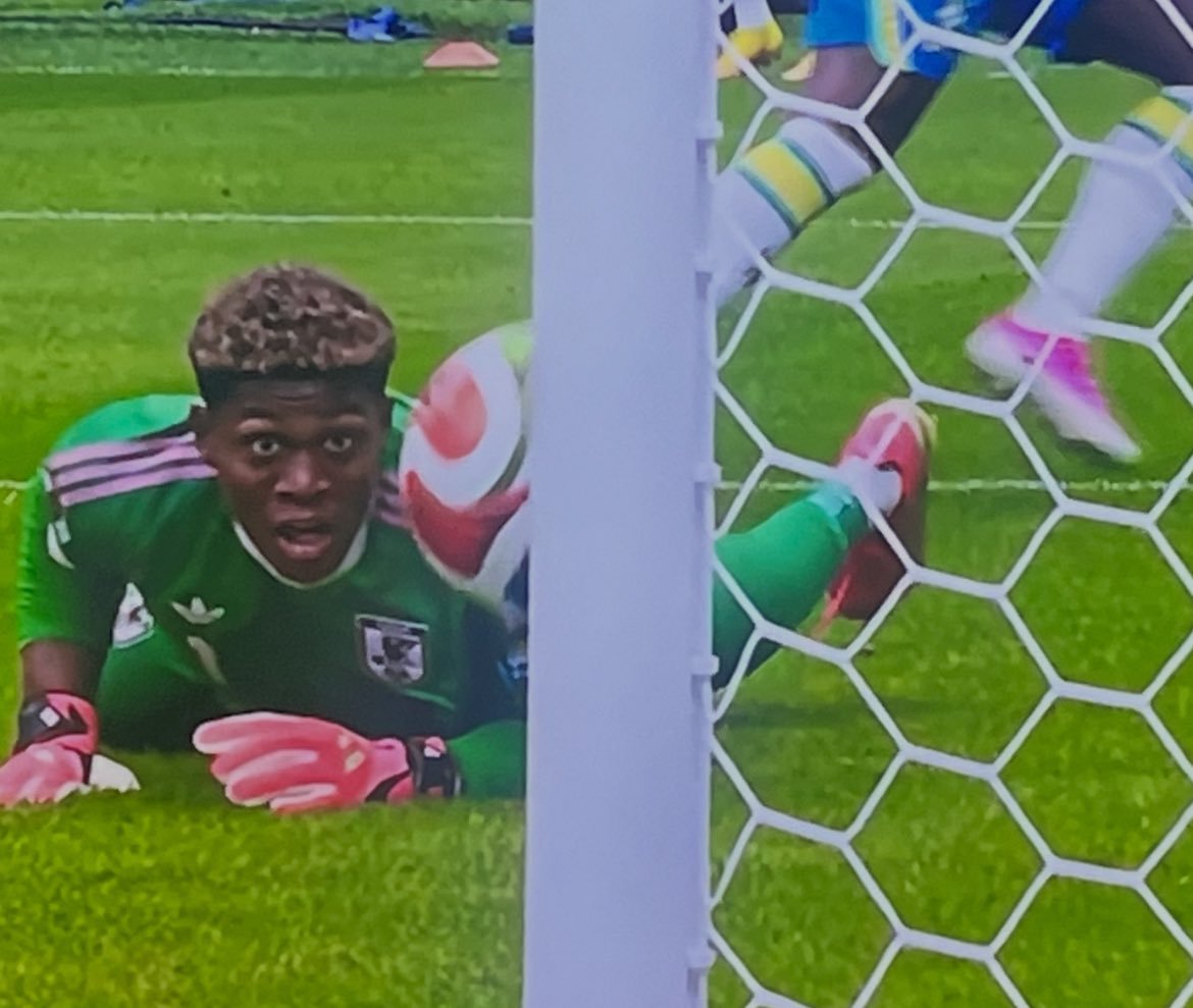 人生初サッカーちゃんと観てる