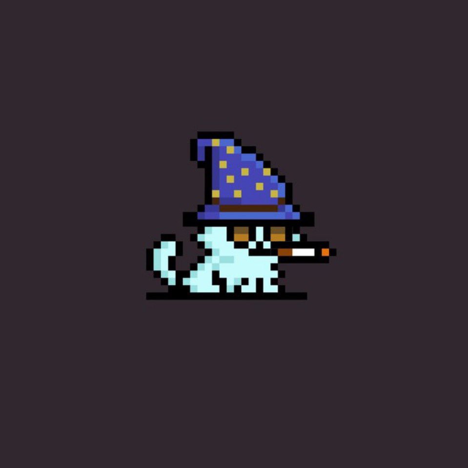 Mr__Gollum's tweet photo. In case you're wondering, my pfp is a @tinyhypercats and it's the first ever Nft on hyperliquid 

are you even aligned with hyperliquid at all if you don't own one? https://t.co/QYoyiPe51x