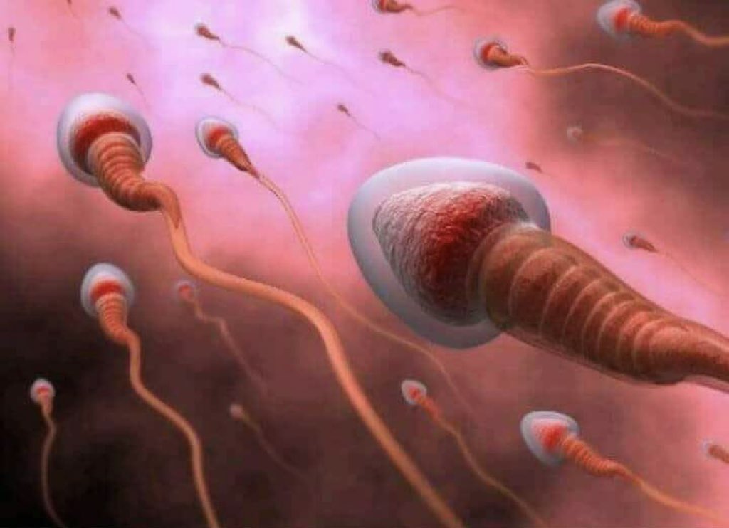 ReddCinema's tweet photo. One man can impregnate over 360 women in one year while a women can only get pregnant once a year…

Should there be more focus on male contraceptives instead of for women? https://t.co/qtltRAcPZt