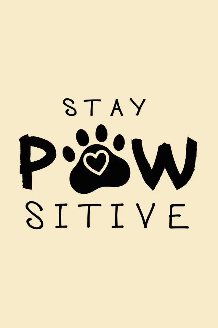 Nhonsomphan's tweet photo. Looking for someone who gives me the same excitement as hearing paws run to the door 🐾😏 #PuppyAdventures #HappyTails #DogFans
https://t.co/tnEnr3nRFF https://t.co/Ft4AGhQp8z