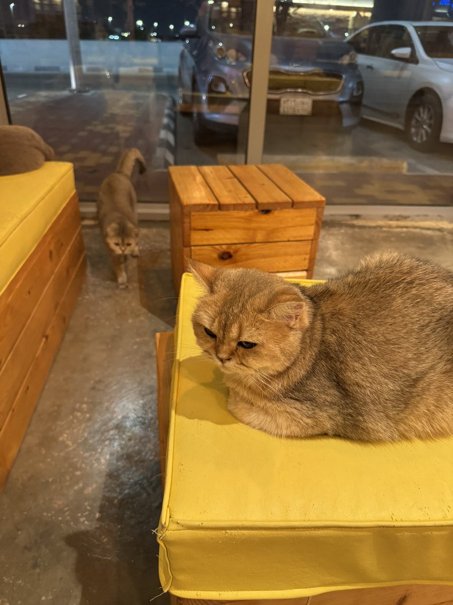 mytinychum's tweet photo. I’m in heaven https://t.co/zBmgSHGu52