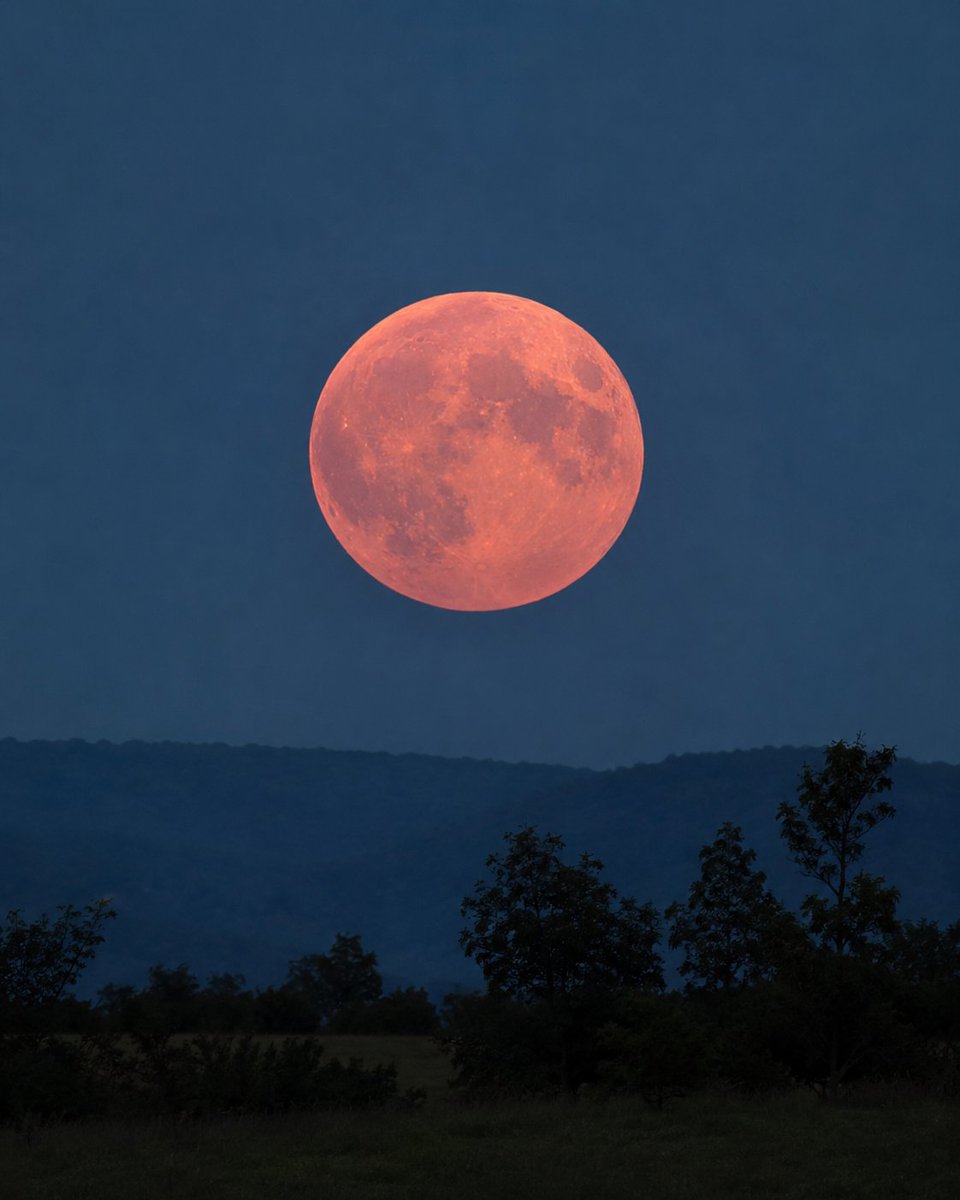 moondailys's tweet photo. Strawberry Moon https://t.co/hD6lfJz1bE