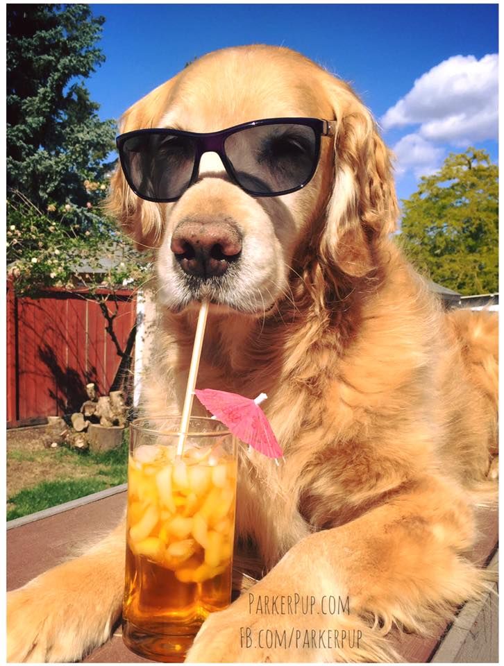 Barkecoin's tweet photo. https://t.co/EEbCnvGosn