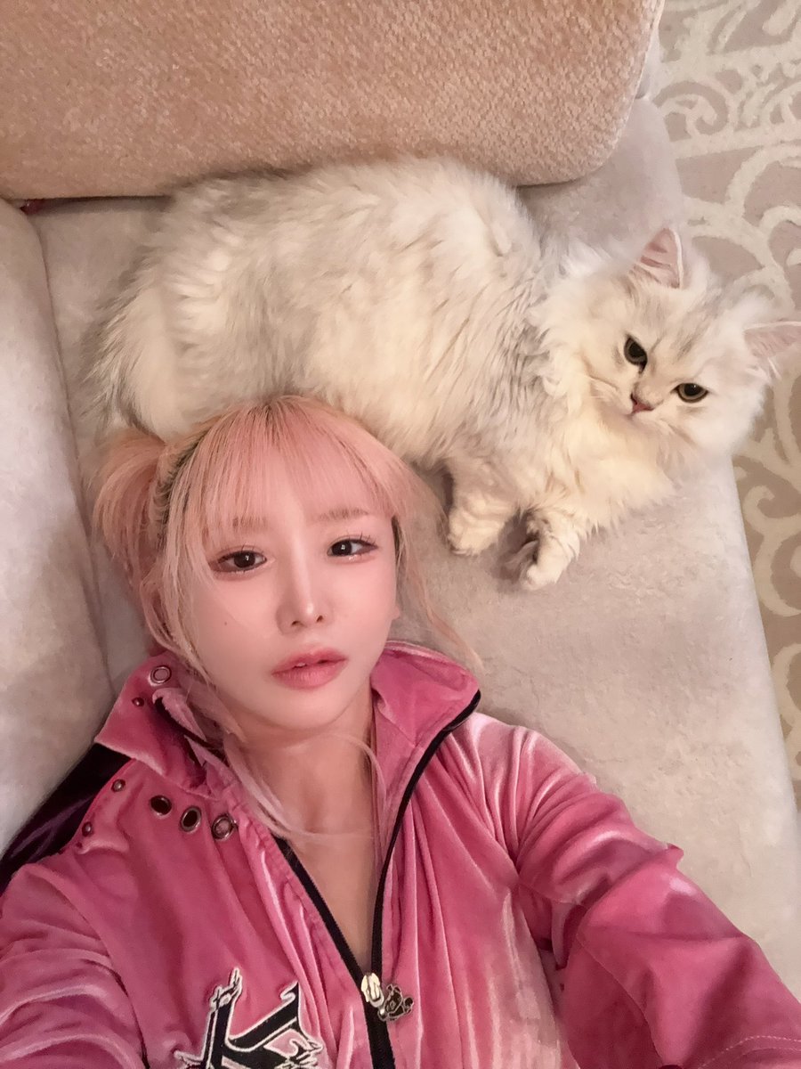 oomoriseiko's tweet photo. 4:44 https://t.co/6PdknV6Ujb