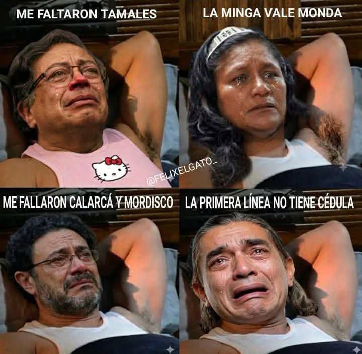 Categrico2's tweet photo. GUAYABO TERCIARIO !!! 🤣

#FirmesPorLaPatria 
#LaVictoriaDelTigre
#EleccionesColombia
 #AbelardoPresidente https://t.co/FAhUcq9Xds