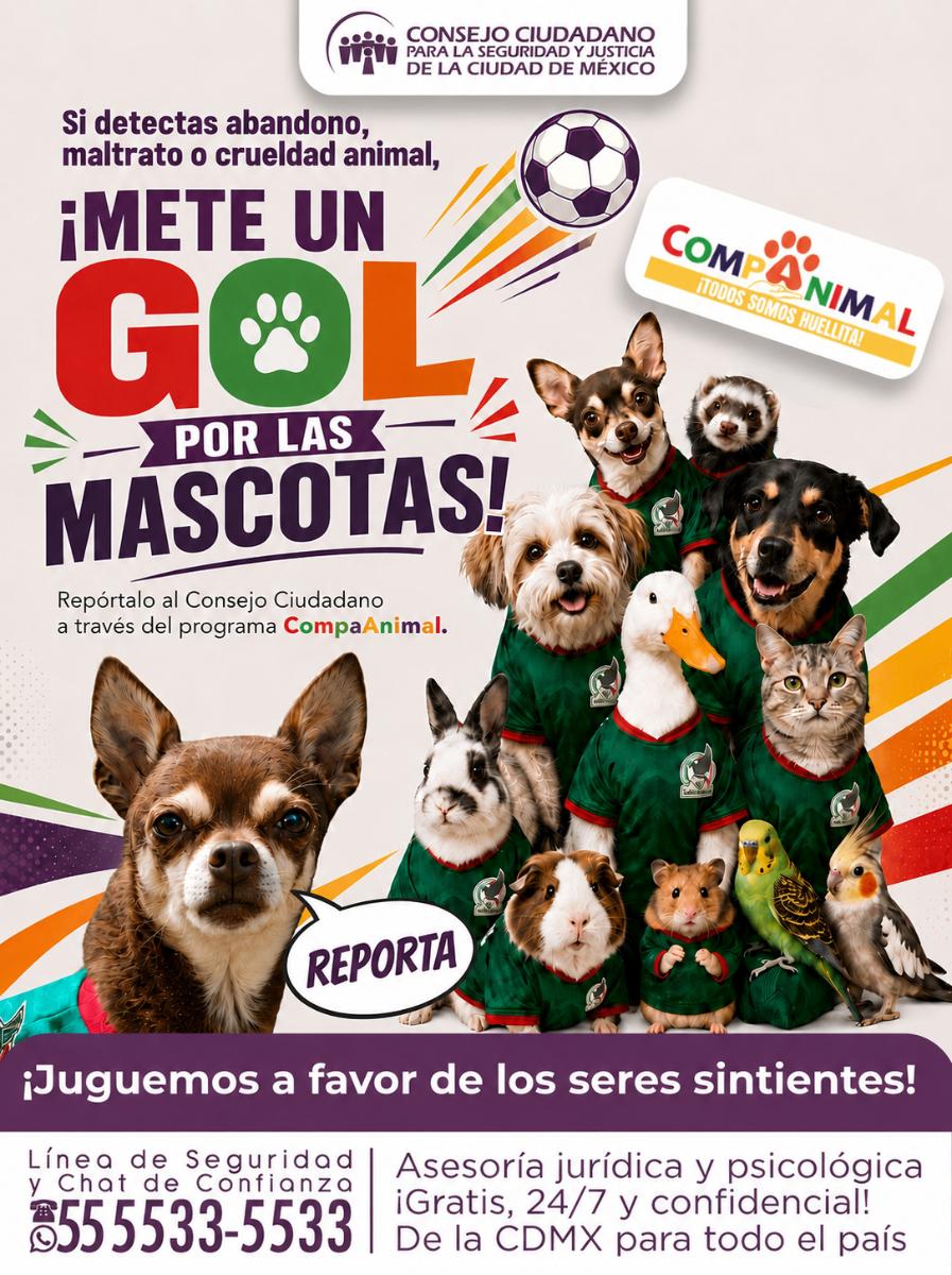 elconsejomx's tweet photo. ¿Sabes de un animal en situación de crueldad o abandono?
¡No lo dejes para después, actúa hoy mismo! ¡Reporta! En #ElConsejo te damos asesoría jurídica gratuita para cambiar su vida y asegurar su bienestar. Llama o envía un WhatsApp al 55 5533 5533.
#CompAnimal https://t.co/iWVwcRP7LF