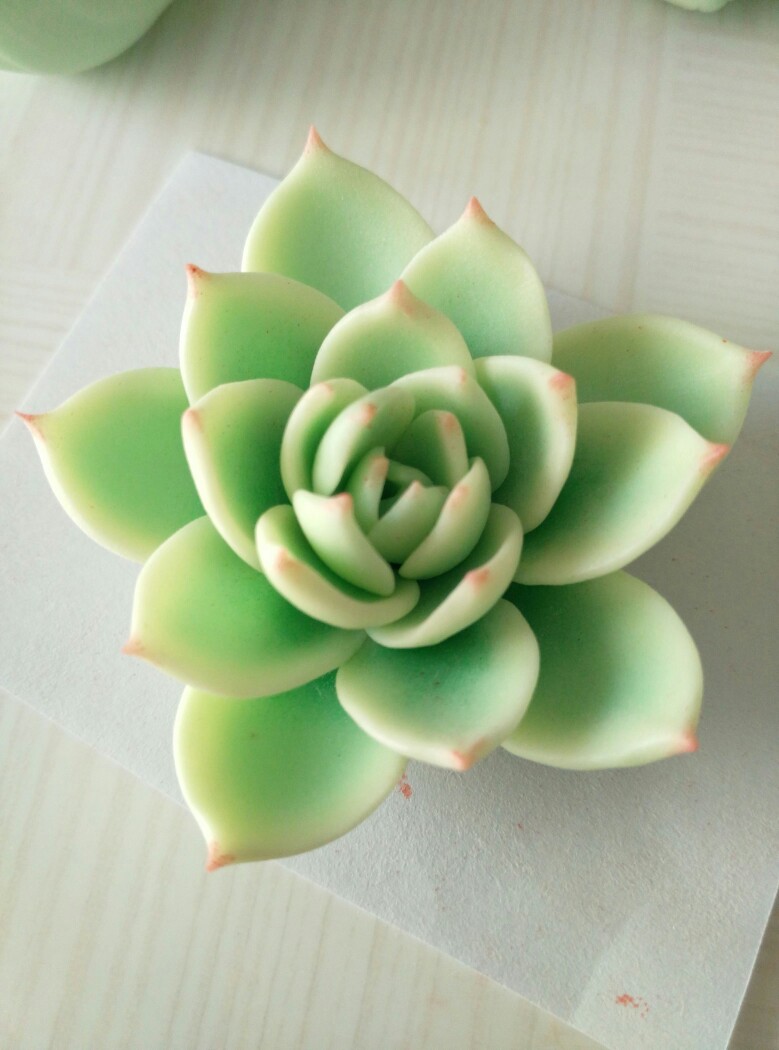ZoeEdwards131's tweet photo. Got my hands messy making tiny polymer clay succulents today! They’re so cute and perfect for decorating my desk ， https://t.co/ZGL0v5niiz