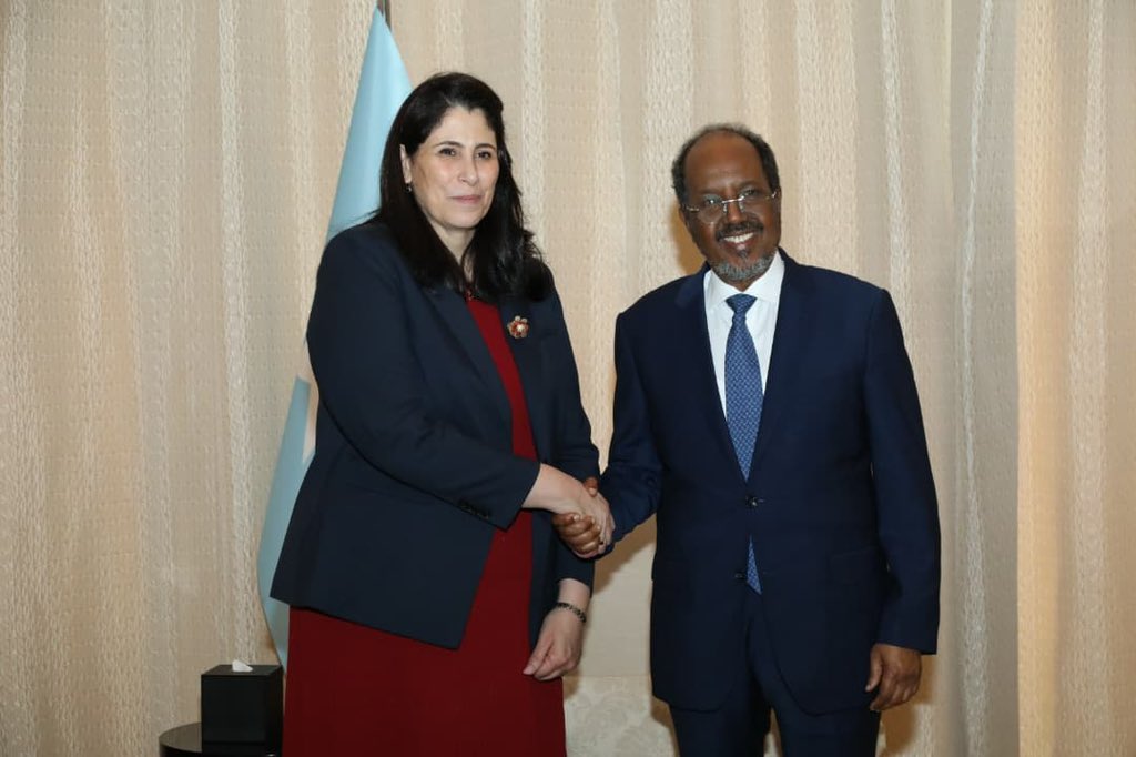 DCP_Haddadi's tweet photo. Today, on behalf of @_AfricanUnion Commission Chairperson H.E. Mahmoud Ali Youssouf @ymahmoudali , I had the honour of meeting H.E. President Hassan Sheikh Mohamud @HassanSMohamud , the President of the Republic of Somalia 🇸🇴

I reaffirmed AUC's unwavering commitment to Somalia's sovereignty, unity, and territorial integrity, and our continued support for Somali-led security and stabilisation.

I commended President Mohamud's leadership against Al-Shabaab and the significant gains made by Somali forces, and welcomed his efforts to advance inclusive dialogue ahead of the upcoming presidential elections—a landmark moment for Somalia's democracy.

We also discussed the financing challenges facing AUSSOM and the importance of finding sustainable, predictable and shared solutions.

I assured the President of the AUC's steadfast partnership in delivering programs on Agenda 2063, including through AUSSOM, and our readiness to accompany Somalia as it prepares for the forthcoming elections.