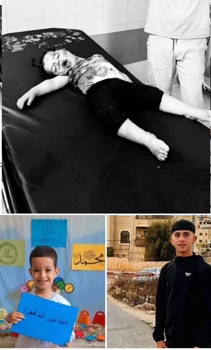 Qadeyah1's tweet photo. 3 أطفال شهداء اليوم ..

قتلت اسرائيل اليوم الطفل أمير بالرصاص في مدينة البيرة في الضفة الغربية، و الطفل مالك ابو شاويس بصاروخ في دير البلح ، والطفلة سوار بصاروخ استهدف خيام النازحين في مواصي خانيونس. https://t.co/STNC96SPs2