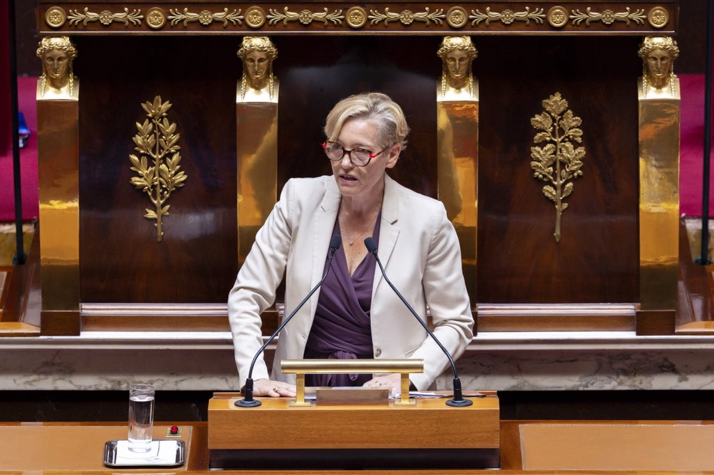 V_Riotton's tweet photo. Le sport professionnel a besoin de passion. Il a aussi besoin de règles.
Aujourd’hui, il en a de meilleures. 
✅L’@AssembleeNat adopte la PPL sur le sport professionnel. Rapporteure du volet sport féminin, nous avons fait adopter des mesures qui lui donnent enfin des outils ! https://t.co/oh6VfPkDY4