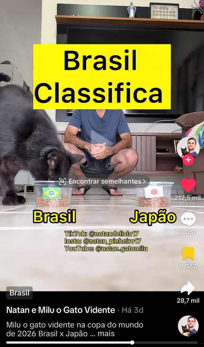 itveigh's tweet photo. ESSE GATO MILU ARRASA https://t.co/D1BVJhO1xK