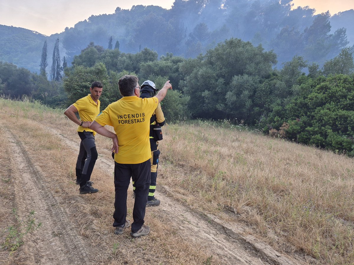 AgriculturaGOIB's tweet photo. Ens desplaçam fins a la zona afectada per l'incendi forestal de Puigpunyent. La ràpida actuació dels efectius d'@AgriculturaGOIB ha evitat una major progressió del foc.

Una vegada retirats els mitjans aeris, el personal de l'operatiu queda tot el vespre fent feina en l'extinció. https://t.co/yeGtiKTNiI