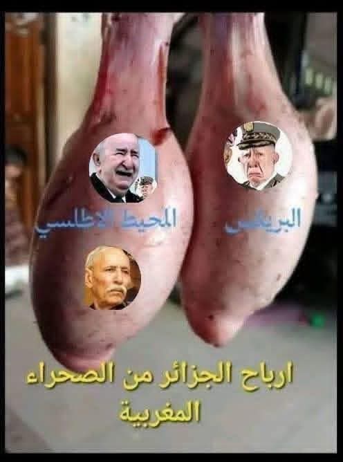 TiyaneAziz's tweet photo. @AL24newschannel فين هو النقش اللقيط لي قال ليهم الصحراء الغربية ما نتخلاش عليها فقط النباح كالكلاب الضالة في الخلاء على مواقع التواصل الإجتماعي هههههههه المخزن ياجدك حشاه لينا ههههههه https://t.co/mSYqlg0nrD