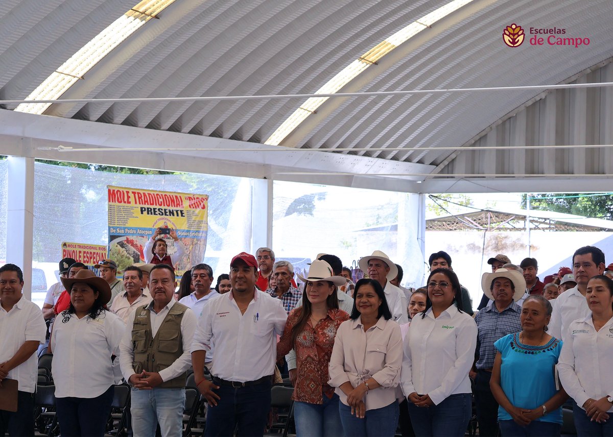 escuelasdecampo's tweet photo. Cada productor que comparte su experiencia fortalece a toda una comunidad. Así se vivió el Encuentro de Productores de Caña en Transición Agroecológica en #Morelos. 🧵 https://t.co/412fBpe39y