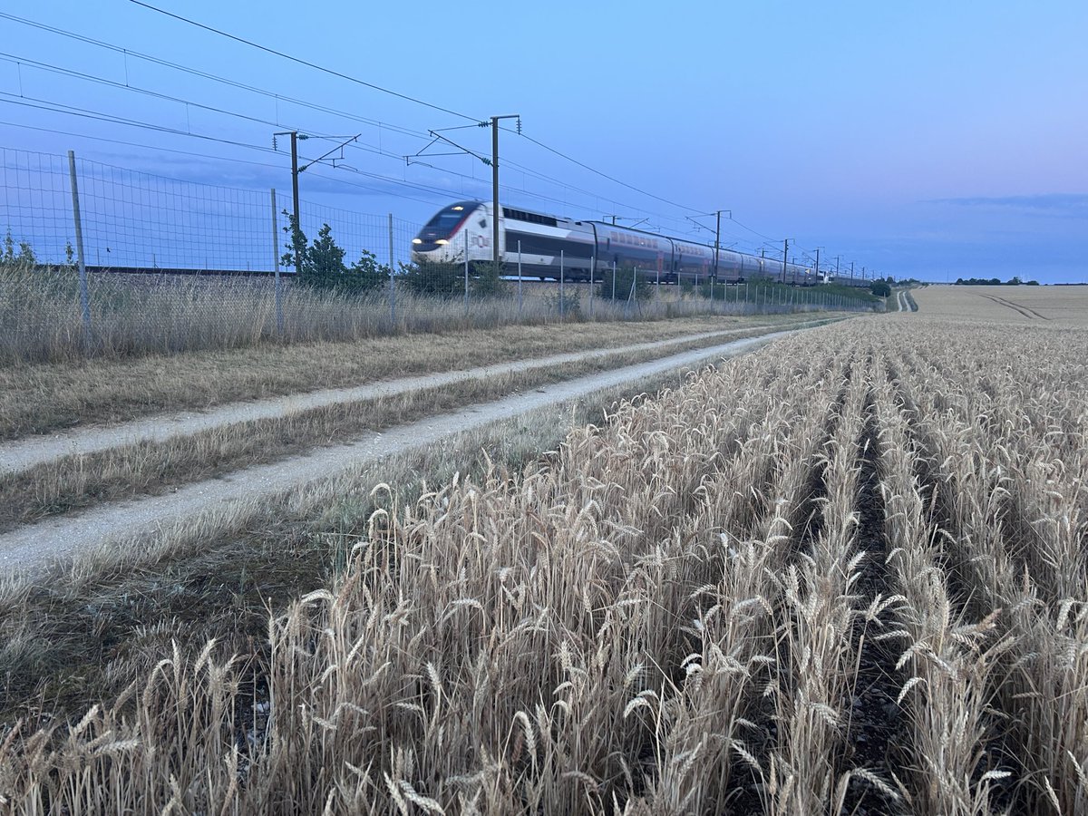 BONNIN1402's tweet photo. La 717 emmène le @TGVINOUI N6180 venant de Nice 🍋 après 971km.
Juste +5’ comparé à ce blé en retard sur la moyenne nationale @OlivierCOSTE2
#pk151 et 152 pour le @OUIGO pour Lyon. https://t.co/mvxza1wOnR