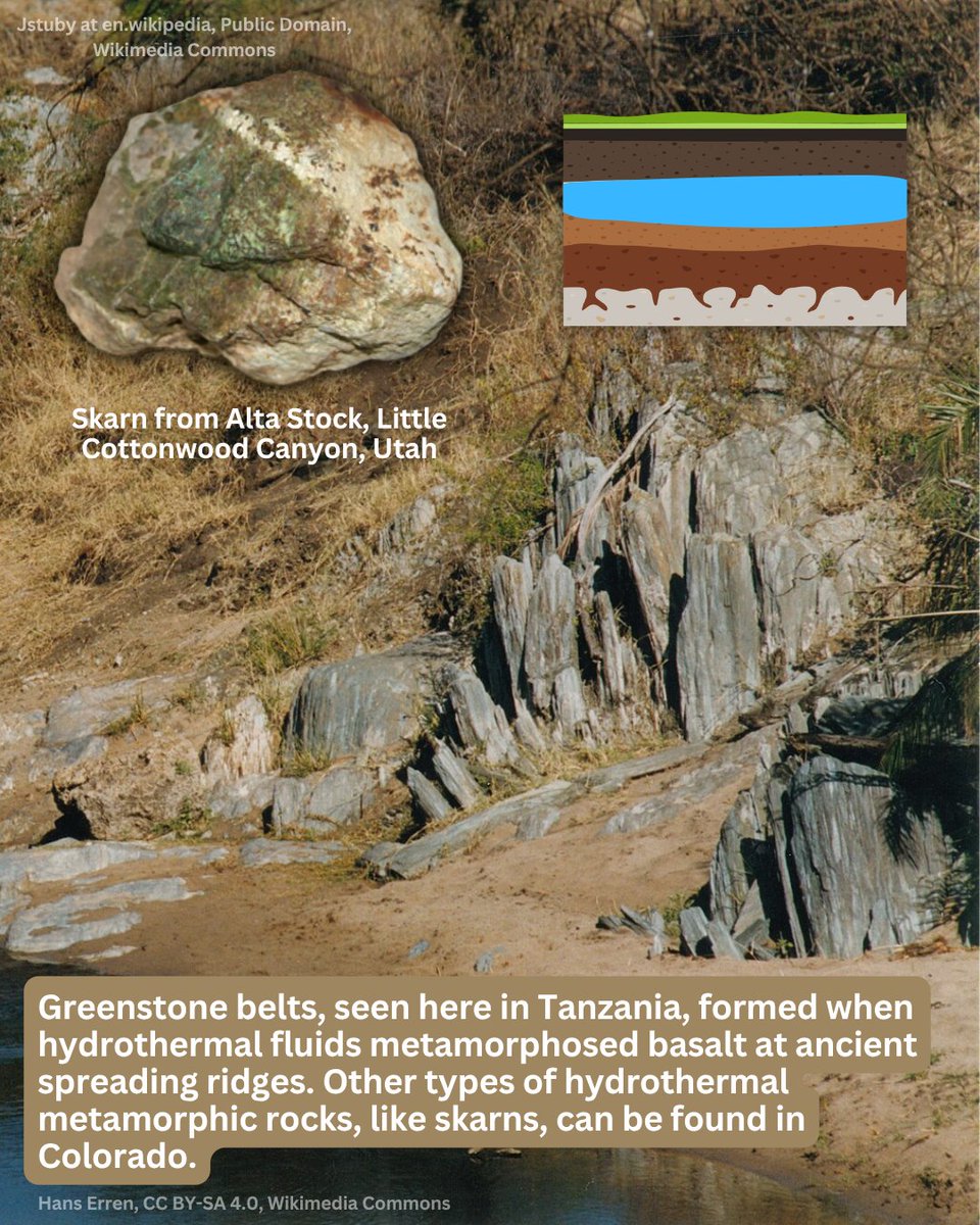 COGeolSurvey's tweet photo. Metamorphic rocks have been changed by heat and pressure to form new rocks. The 3 most common types of metamorphism are regional, contact, and hydrothermal. Additional types include shock and dynamic metamorphism. https://t.co/IsTlr3e5yv