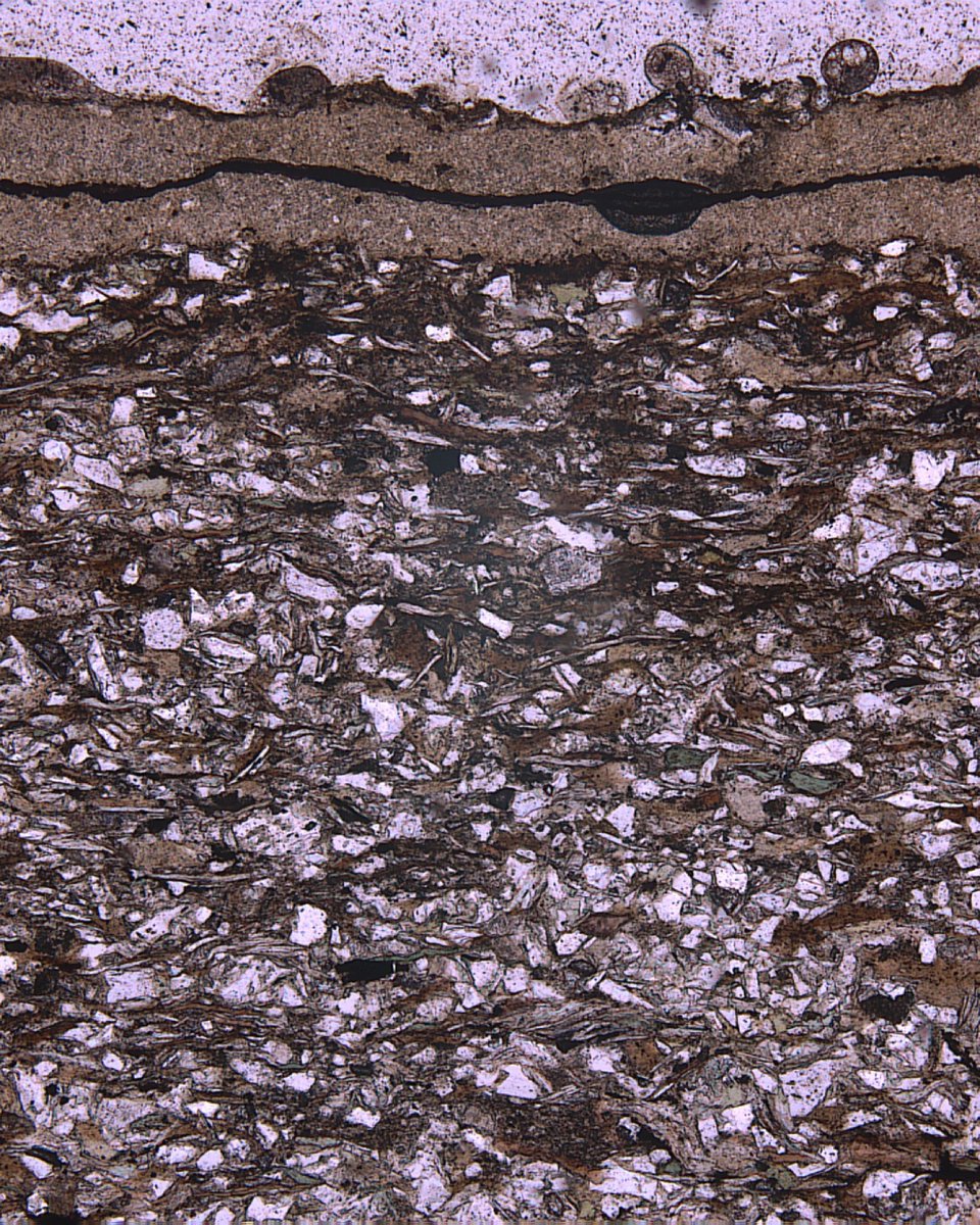 ABaucon's tweet photo. The walls of Priamar Fortress (Savona, NW Italy) hide an ancient deep sea. ๐ My new paper documents trace fossils and some of the largest foraminifera ever recorded โ Bathysiphon palachei up to 120 mm โ in its building stones. #tracefossils #ichnology #foraminifera https://t.co/HgfQlOZsDV