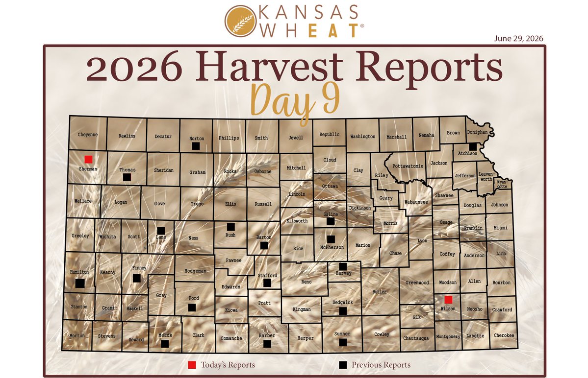 KansasWheat's tweet photo. Day 9 of the 2026 Kansas Wheat Harvest Report is now available: https://t.co/zZPrPcDGaR

Follow along throughout harvest and share your photos using #wheatharvest26 #KansasWheat https://t.co/u5sg8eaWdo