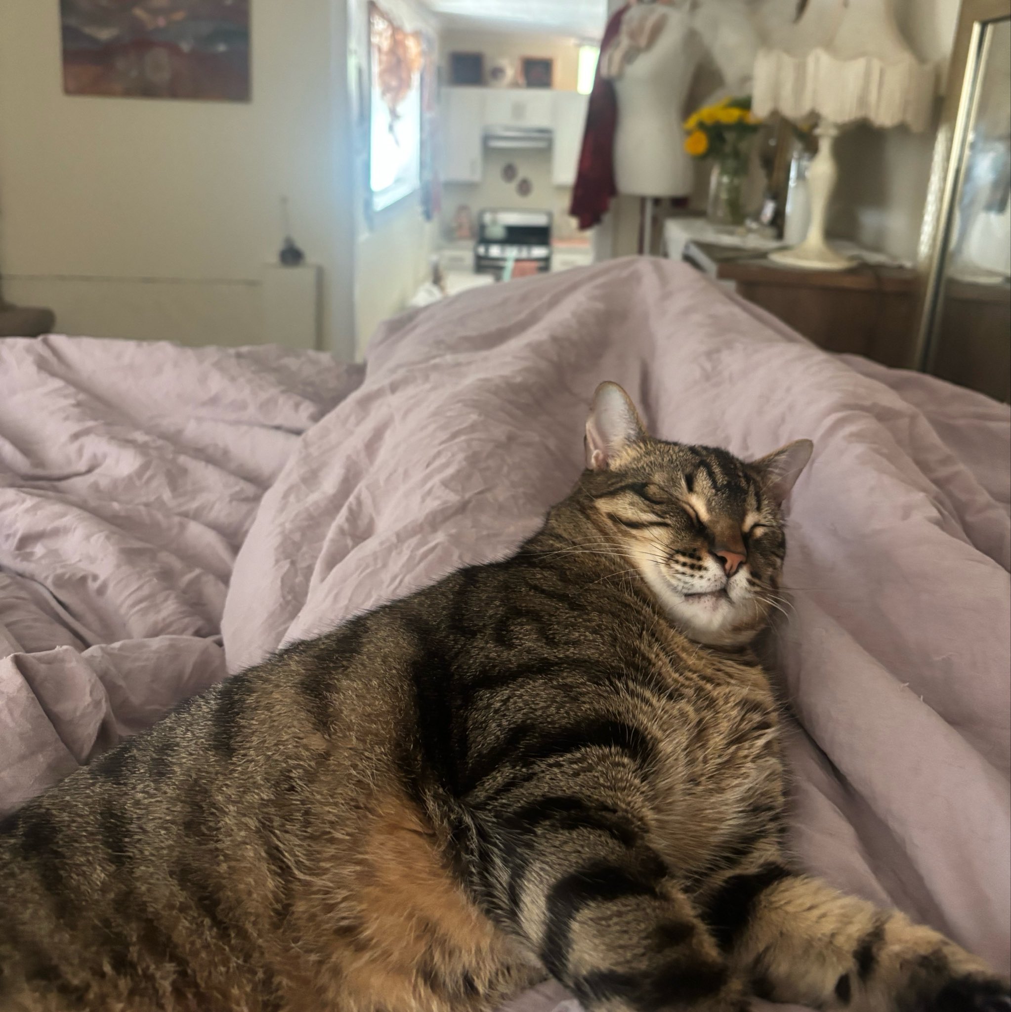 Look what I woke up to 😂 https://t.co/uU19bHzNzh
