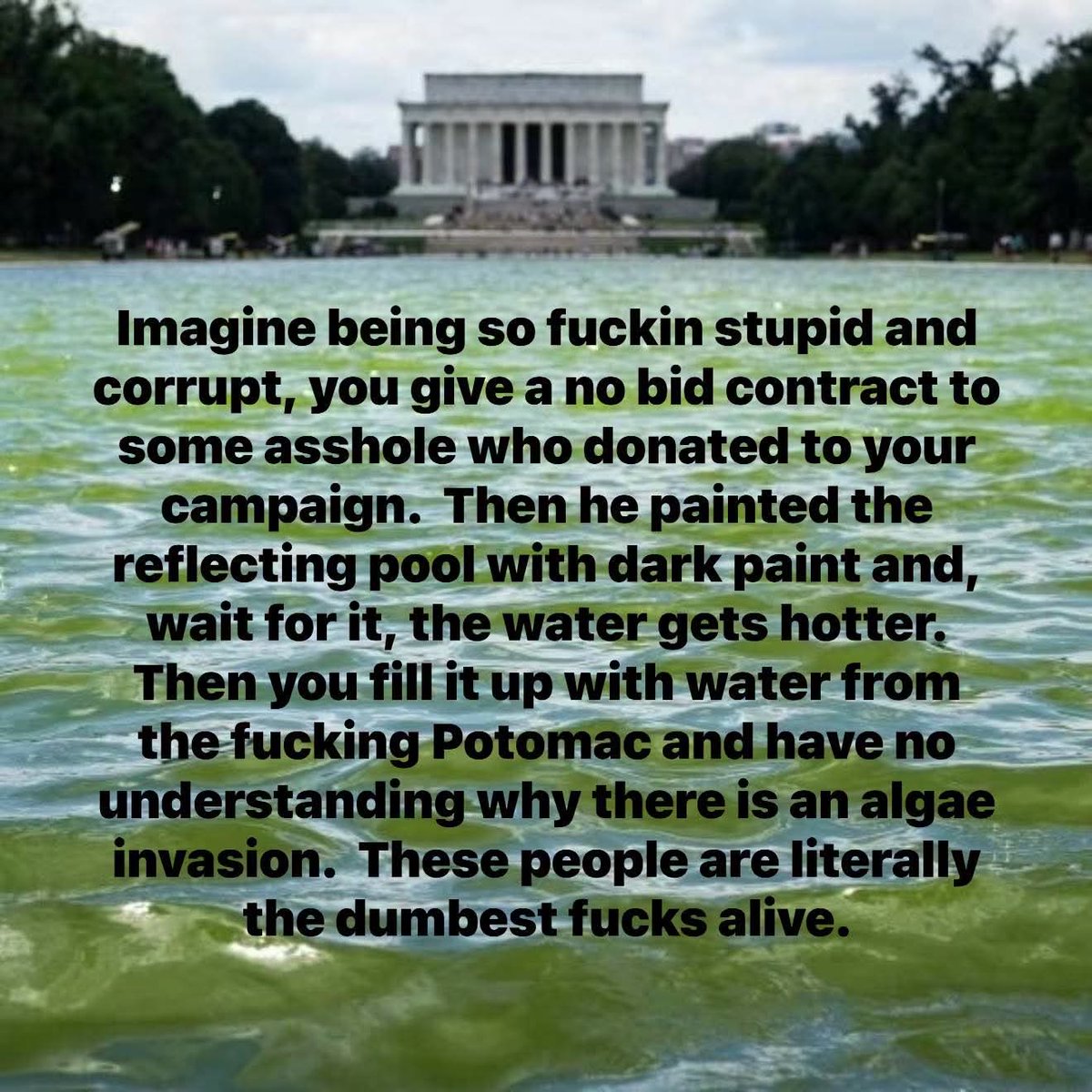 VickiEngel11's tweet photo. @SativaRabbi @WHLeavitt Democrat’s don’t hate! They call out Right Wing MAGA cult propagandist’s! @WHLeavitt for their bigoted misinformation &amp; covering up all the corruption of @DonaldTrump, Trump family businesses, their billionaire cronies &amp; donor’$ #WeThePeople 60% will #VoteBlueToSaveAmerica ⚖️🏛️🇺🇸 https://t.co/0TG59ojPvA