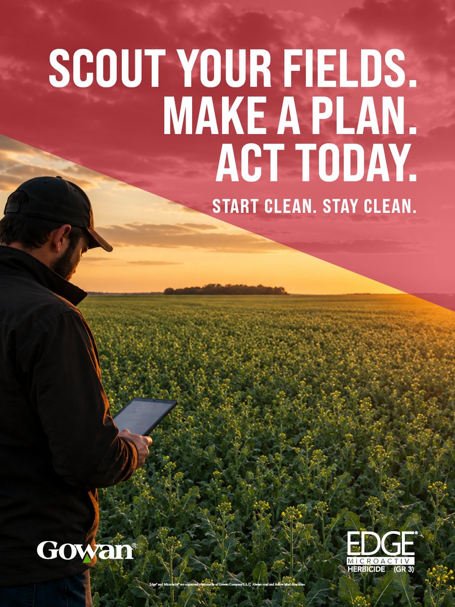 gowancanada's tweet photo. Kochia control starts long before it shows up in your canola crop.
Now’s the time to scout fields, evaluate pressure, and build a weed control plan that starts clean from day one.
A strong season begins with early decisions  and Edge® MicroActiv® helps set the foundation.
Start clean. Stay clean.
#EdgeMicroActiv #Canola #KochiaControl #StartCleanStayClean #CanadianAg #PrairieFarming