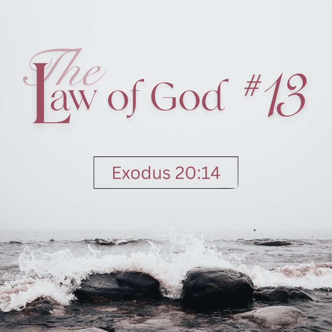 crossroad50072's tweet photo. Exodus 20:14
Pastor Grant Brown
Sermon #13 in the "Law of God" sermon series.
(The Seventh Commandment, part 1)
June 28, 2026

https://t.co/QqpTbRlvmK https://t.co/Q5DtbSEzF0