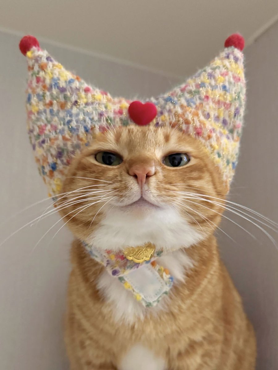 Catwnesel's tweet photo. Me                                      My lookalike https://t.co/3OudQFyFqB