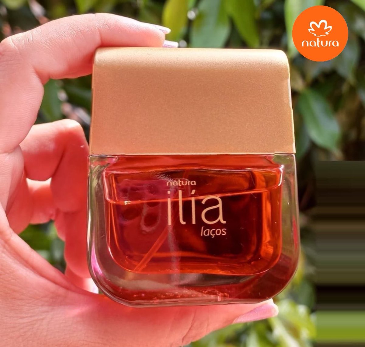 cupomdalaine's tweet photo. Oferta + Cupom 🧡✨

🛍️ Deo Parfum Feminino Ilía Laços 50ml
Por: 124

🏷️Cupom: MINHALOJA15 ou BRASIL

Meu link p/ todas as compras👇🏻
🔗https://t.co/e7ePHRDDNk https://t.co/fAwhPiyCOj