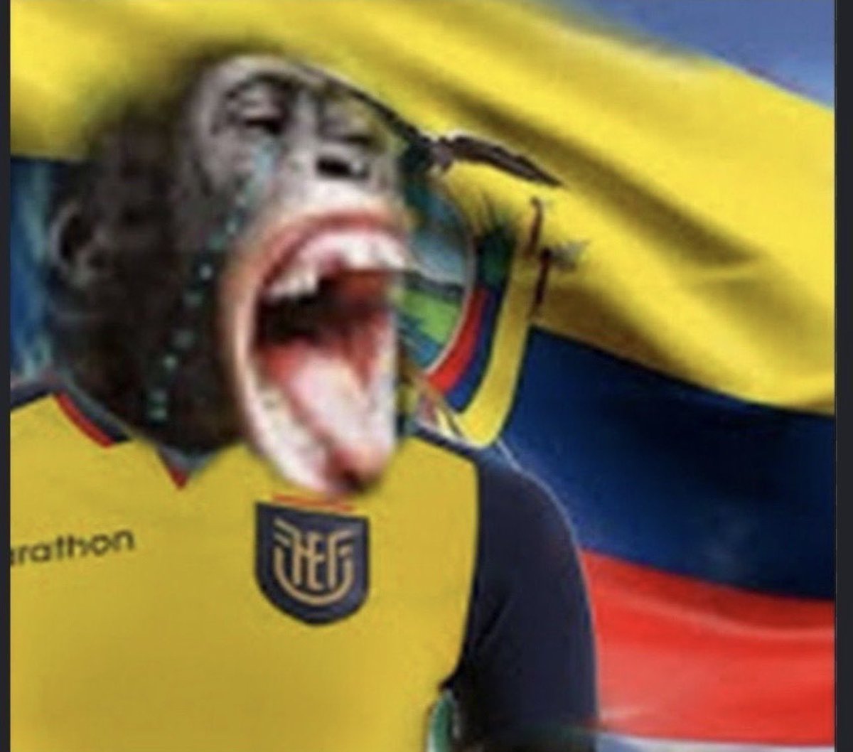 Elcrackradio's tweet photo. @diegoteran93 Y no haber hecho nada en torneos internacionales como selección ! https://t.co/kPLdcVmDzT