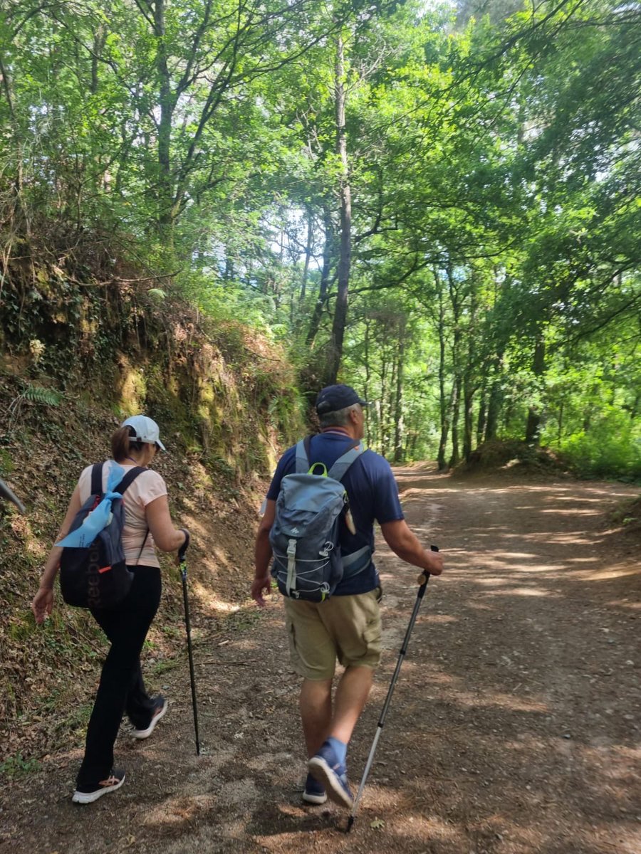 HSentierro's tweet photo. Fotogalería | Segunda etapa: O Porriño – Redondela

Compartimos algunas imágenes de la segunda etapa de nuestro Camino de Santiago, desde O Porriño hasta Redondela.

#hermandad #santoentierro #lascabezas #caminodesantiago https://t.co/tkGQyaQxjQ