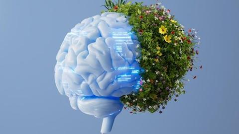 TrevorCastle78's tweet photo. AI has a carbon footprint — and it's bigger than you think. Here are 5 simple, evidence-backed steps to use AI more smartly without compromising your productivity. https://t.co/DNp2mOi5OA https://t.co/rZvn1heuu9