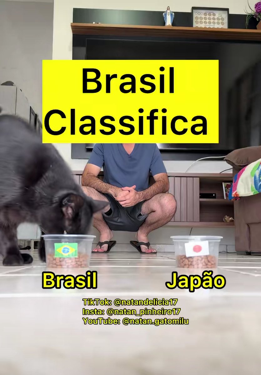 Connor_Borealis's tweet photo. E o gato Milu acertou de novo!!!!!!

#BRAxJAP https://t.co/EASzFSB4EE