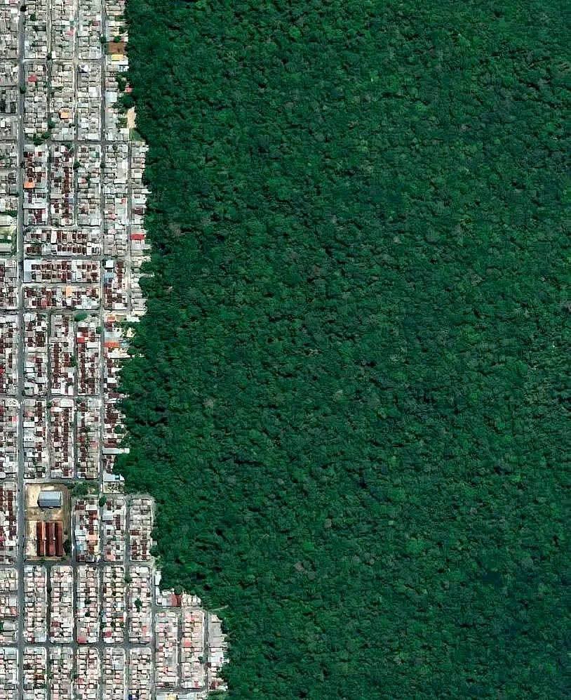 konstructivizm's tweet photo. The boundary between the city and the rainforest! 🏙️ 🌳

This is Manaus, Brazil. 🇧🇷 https://t.co/9EEnkMtJAm