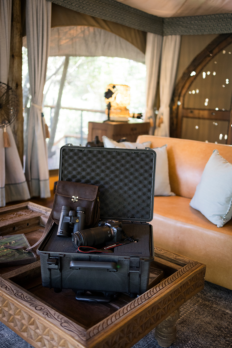 GreatPlainsCons's tweet photo. The best safari photos aren't always taken by the most experienced photographers. At our RΓ©serve Collection camps, every suite comes with a camera, your guide handles the tuition, and every image is yours to keep. Pack light. Leave with memories that last. #WorldCameraDay https://t.co/h0wXPOBt0t