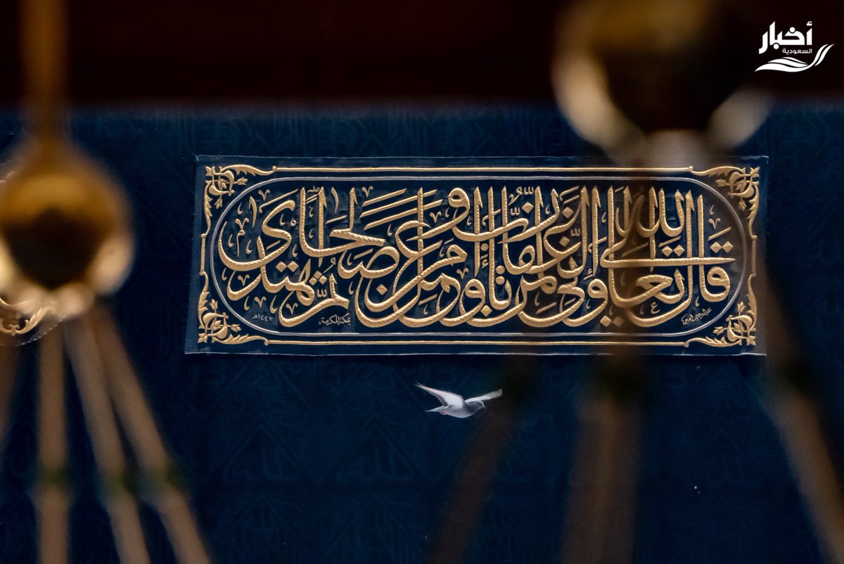 أخبار السعودية tweet media