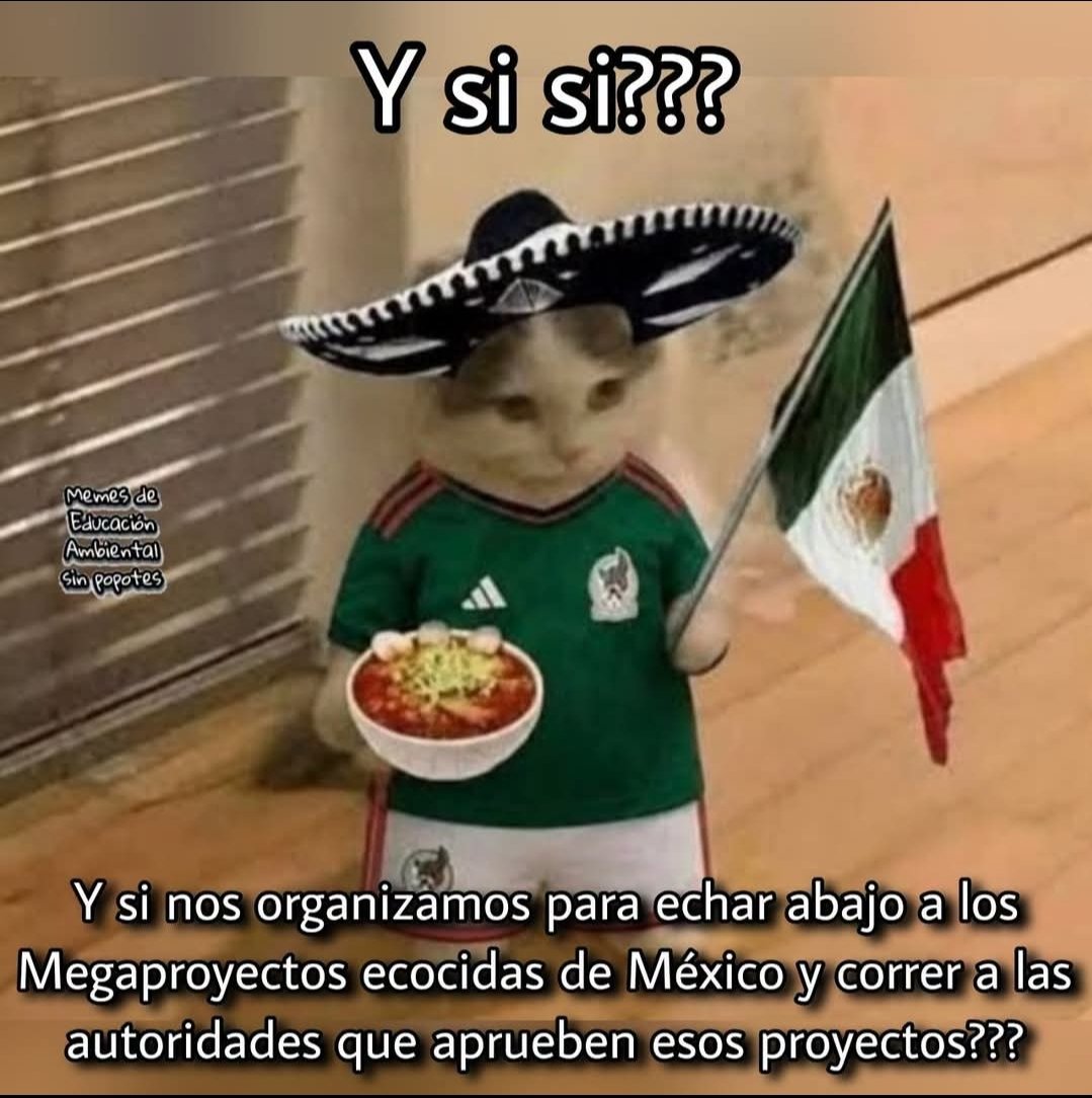 Jaazandrain's tweet photo. Así como🇲🇽nos unimos en cada partido de⚽️,vistiendo con orgullo nuestra camiseta de🇲🇽..si nos unimos con la misma fuerza que en cada gol,y ALZAMOS LA VOZ por nosotros🇲🇽para exigir justicia podemos cambiar el rumbo🇲🇽Viva México ,la lucha de las madres y los que claman justicia🇲🇽👍🏻 https://t.co/OPy4YTNo86