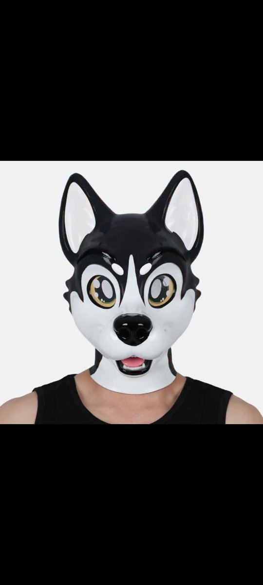D0D0PUP's tweet photo. @furrjoi01 He would be so cool to have! 🥺😁❤️
Ruff! https://t.co/7XGqduRNx5
