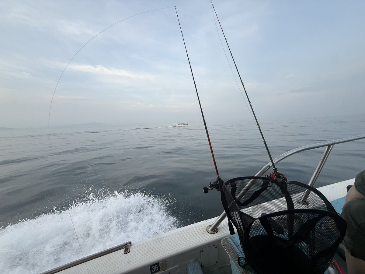 mappo7777's tweet photo. 今日は初めてのタコ釣り🎣🐙 https://t.co/ELwXy4VuK6