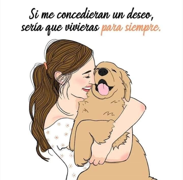 rey_latino33087's tweet photo. https://t.co/Tam6W6qLaF