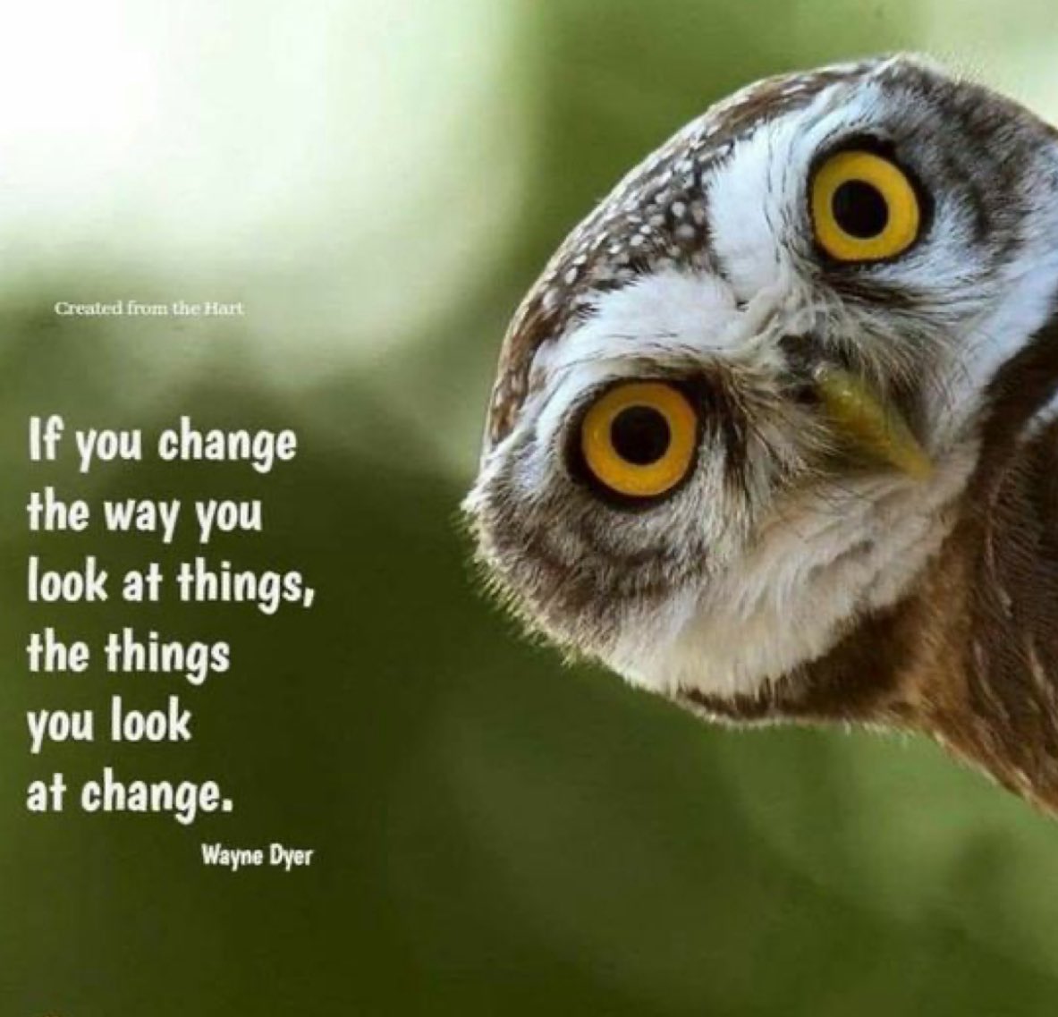 mostra4u's tweet photo. #VoteBlue2026 
#VoteBlueNoMatterWho 💙
#VoteAllRepublicansOUT https://t.co/ZUVcP8RlhC
