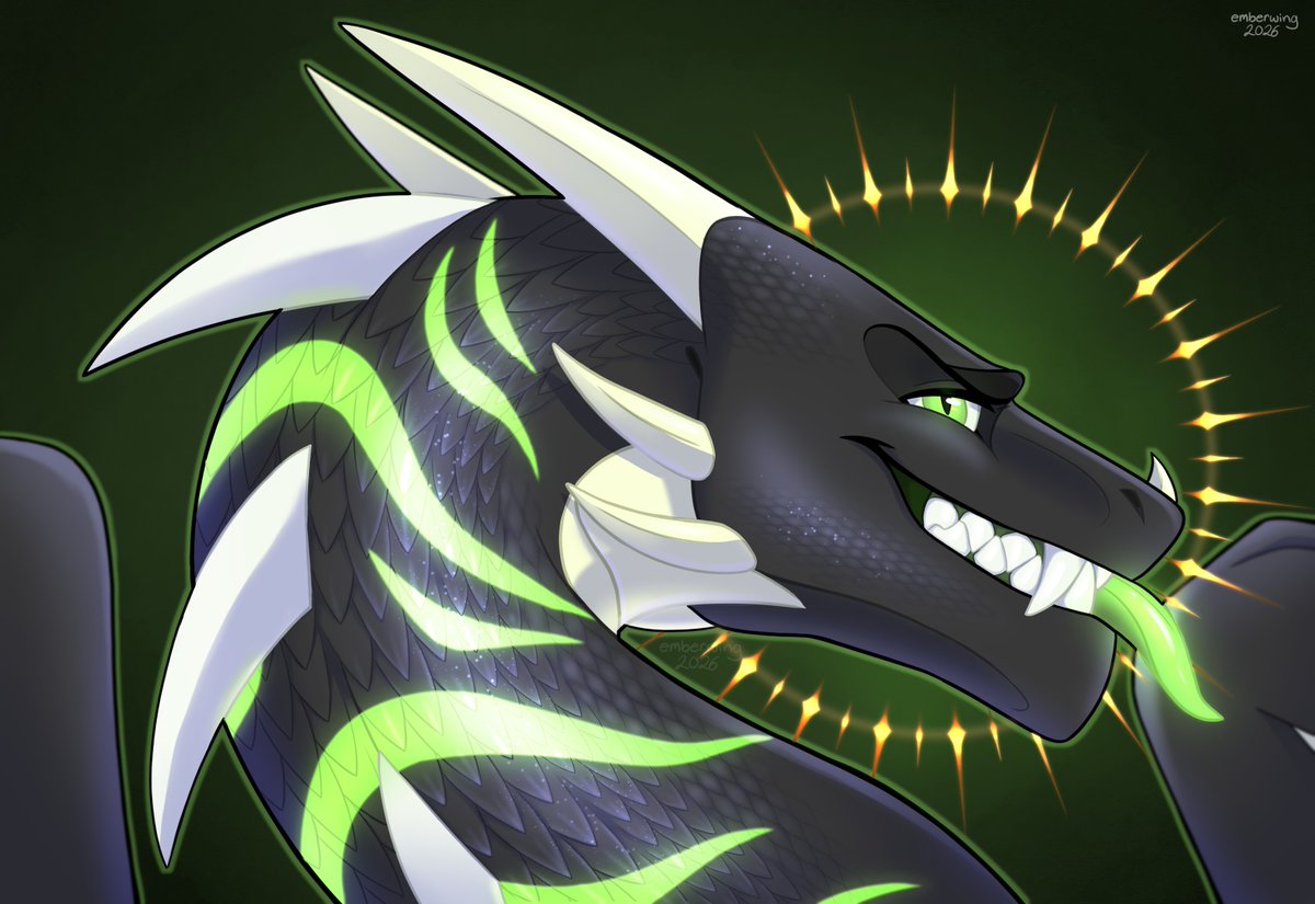 SteinTempus tweet picture