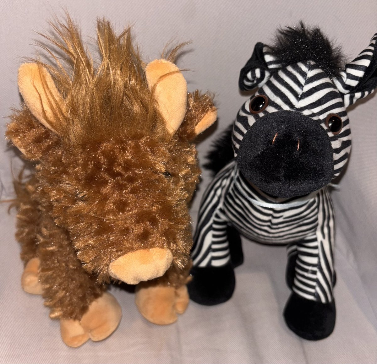 pumpkinzpatch_'s tweet photo. forgot to share this :D got more webbies from this weekend 🫶 the highland cow was the only one of its kind there so I had to !!! #webkinz https://t.co/zMAvyWvabM