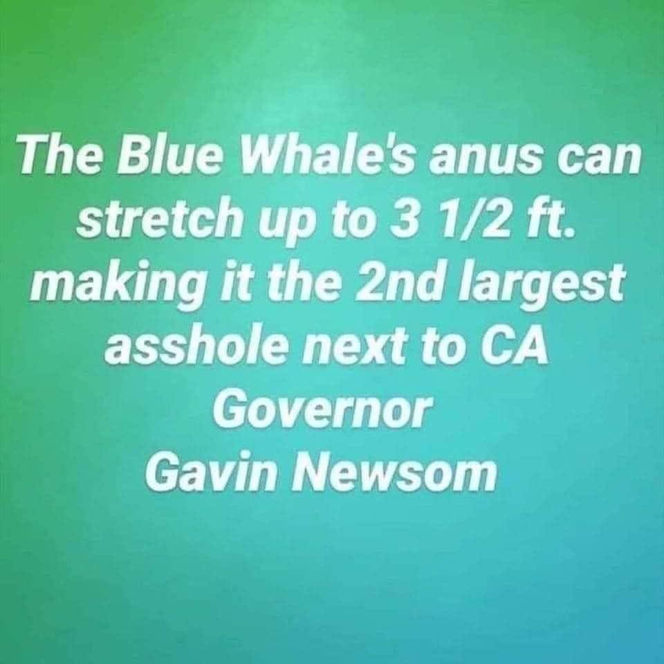 imrkels's tweet photo. @GavinNewsom Postmarked on or before. No self certification, purge dead people from the voter rolls. Gavin NewSCUM is a commie scumbag. https://t.co/eTfPmjWUQw
