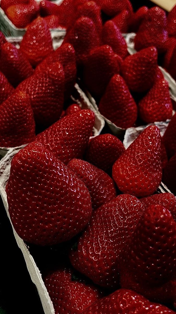 Fantasticfruits tweet media