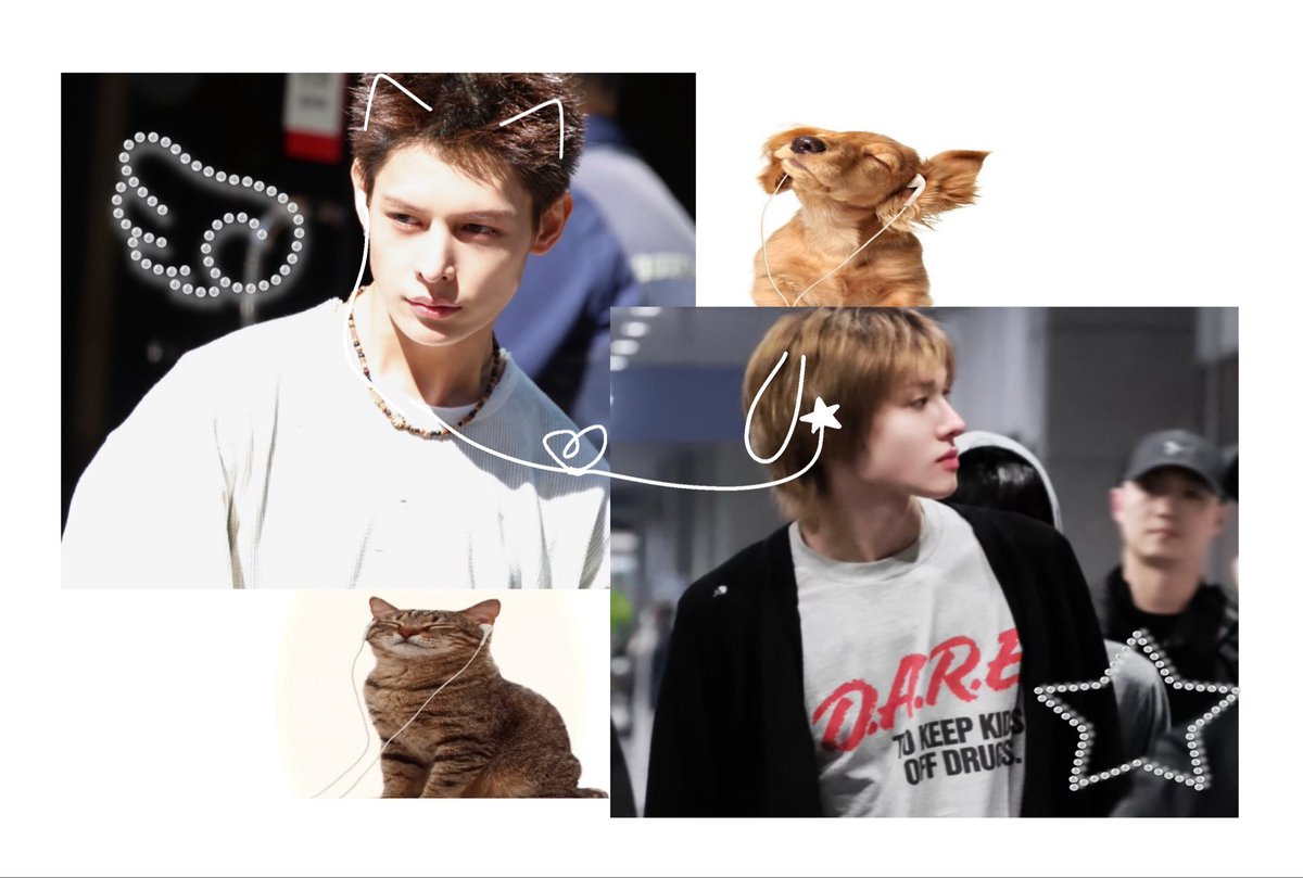 iconprodz's tweet photo. #MARJAMES ⋆‧°𓏲ּ𝄢
🐈 cat and dog🐕 https://t.co/fSOIpNpp8G