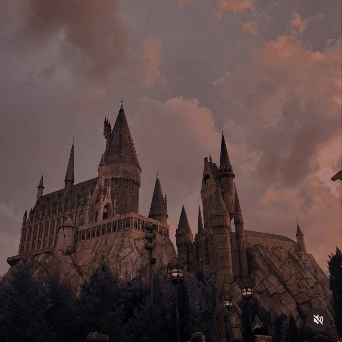 li_evaans's tweet photo. ℒ͟𝒾͟𝓁͟𝓎͟ ͟ℰ͟𝓋͟𝒶͟𝓃͟𝓈͟    

͏  

        Muggle-born. Gryffindor. Prefect.
Intelligent, loyɑl, ɑnd determined.."

͏  

━━━━━━━━━━━━━━━━━━━━━━━ https://t.co/u0soG9tlXX