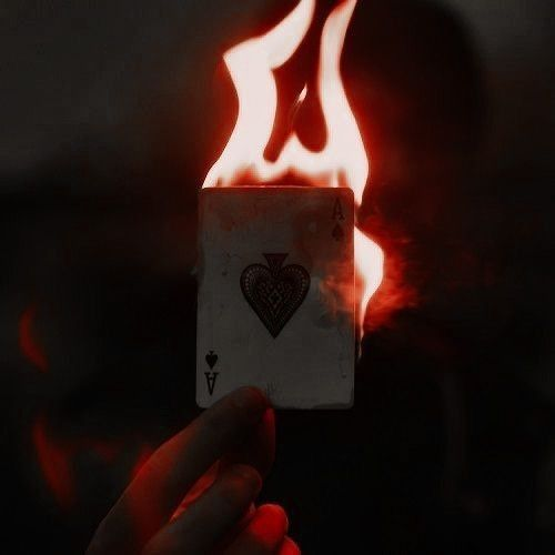 PickACardOfX's tweet photo. ㅤ
ㅤ
ㅤㅤㅤㅤ               ( 1 ) ♡
ㅤㅤ𝑈𝑛 ℎ𝑒𝑎𝑑𝑐𝑎𝑛𝑜𝑛 𝑠𝑜𝑏𝑟𝑒 𝑚𝑖 𝑝𝑒𝑟𝑠𝑜𝑛𝑎𝑗𝑒
ㅤ https://t.co/ZzOowhh4VR