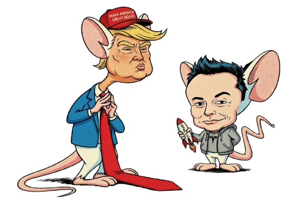 narf_meme's tweet photo. Two lab mice. One genius. One idiot.  Brain ran one final experiment — a serum to make himself the richest man on earth. A simpler formula for Pinky, just enough to hand him the most powerful office in the world.  It worked.  Brain became parody brainE Musk. Pinky became parody Dinky Trump.  And every single night, they are still trying to take over the world.  We tokenized it.  $NARF — fair launch July 25–31 on PinkSale. 26% airdropped to the community. 65 % for Fairlaunch/Liquidity. No VCs. No insiders. Just world domination.  Narf.  🌐 https://t.co/pm9b4xG7Lx 📷 https://t.co/HRmW2erNdx 📷#NARF #Solana #memecoin #fairlaunch