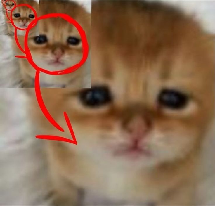 nikilvwl's tweet photo. japón te nos fuistes demasiado pronto https://t.co/hgaNBLnlps