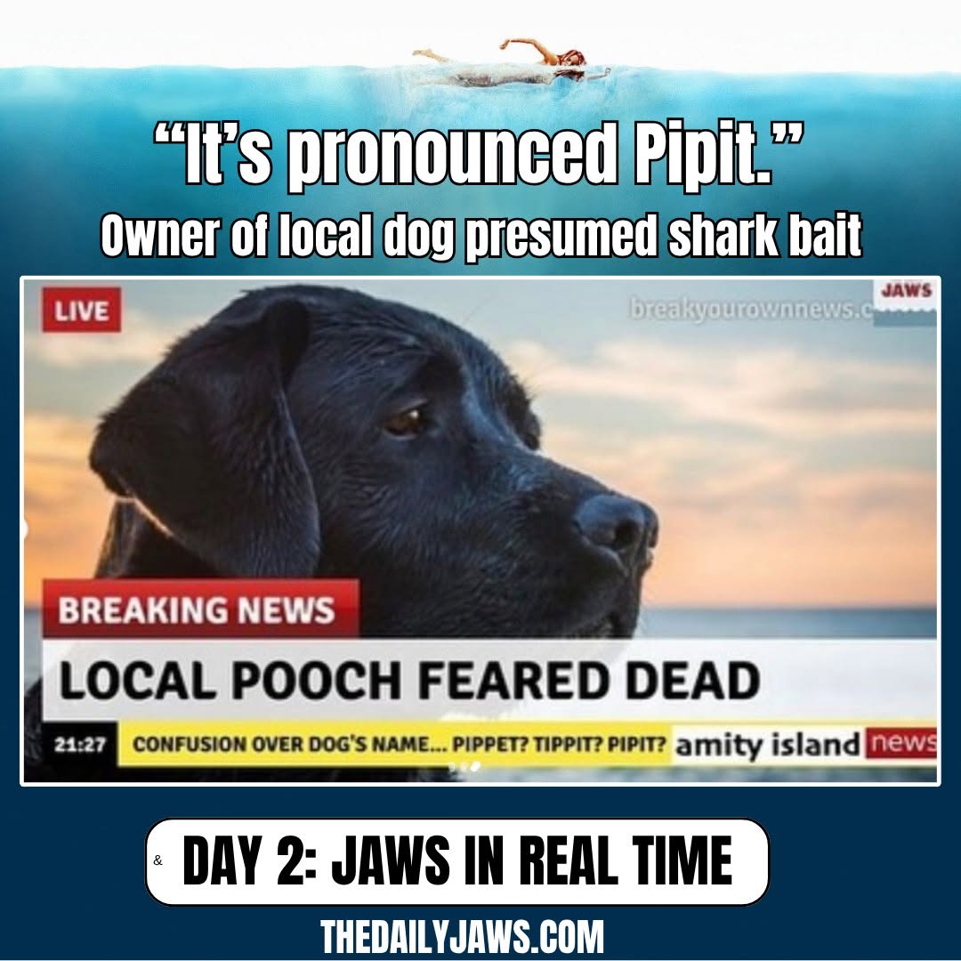 thedailyjaws's tweet photo. BREAKING NEWS: Amity Island. It appears local boy Alex Kintner may not have been the only victim of today's suspected shark incident. A local dog did not return after going for a swim.

#jawsinrealtime 📷 https://t.co/b5PAmq5YWD